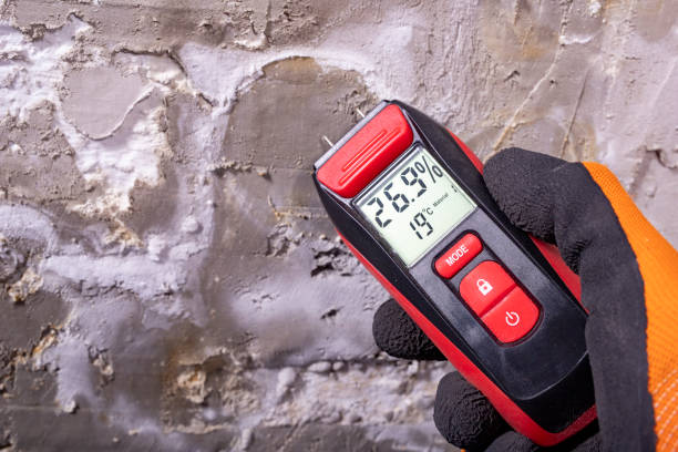 Best Mold Testing and Removal  in Bayshe, OR