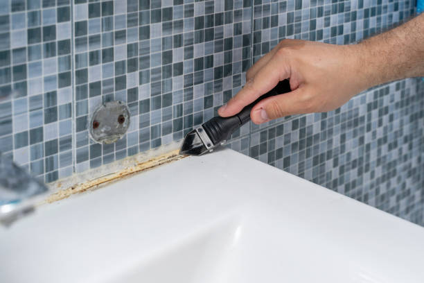 Best Commercial Mold Removal  in Bayshe, OR