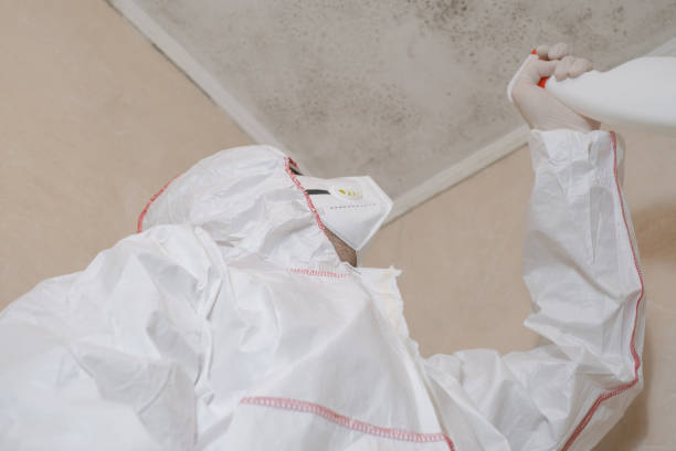 Professional Mold Removal in Bayshore, OR
